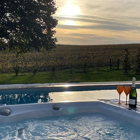 Best View, Pool And Spa On The Champagne Vineyard Saint-Thierry المظهر الخارجي الصورة