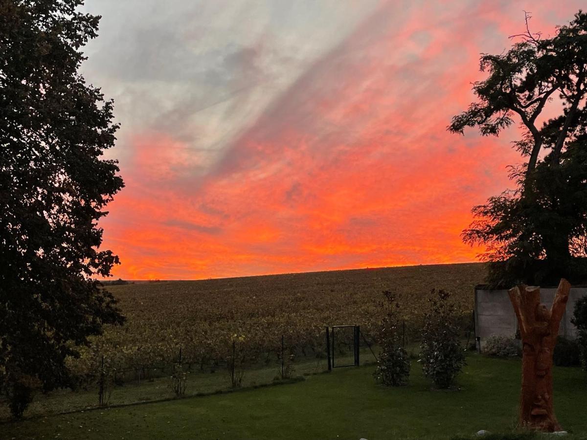 Best View, Pool And Spa On The Champagne Vineyard Saint-Thierry المظهر الخارجي الصورة