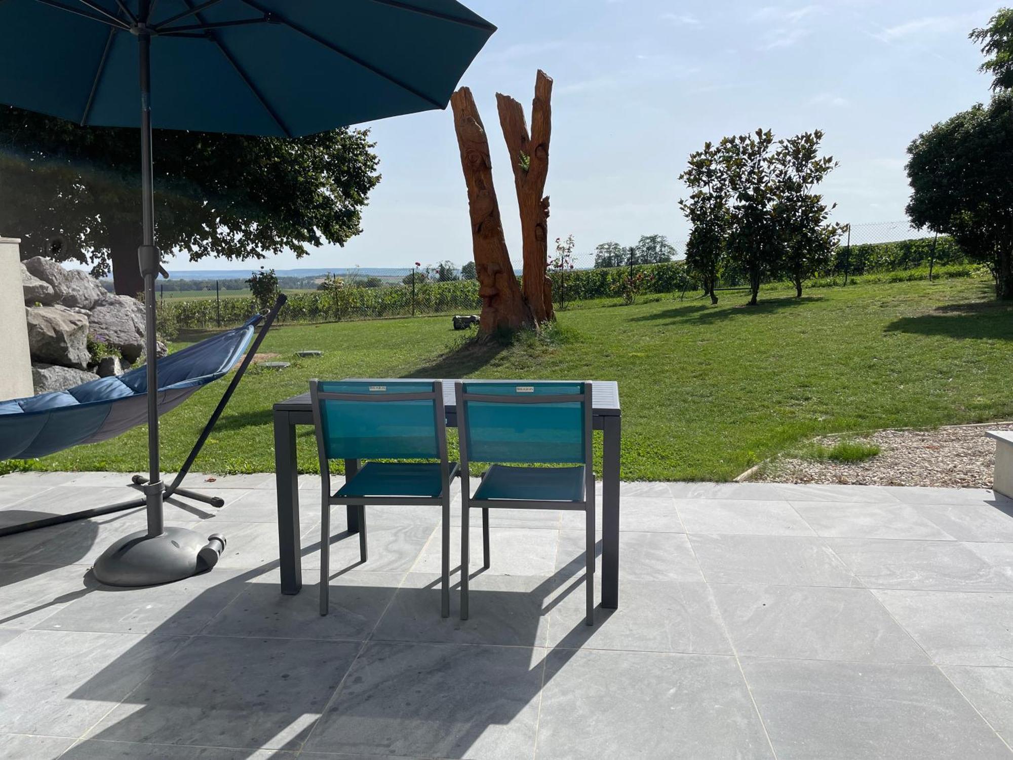 Best View, Pool And Spa On The Champagne Vineyard Saint-Thierry المظهر الخارجي الصورة